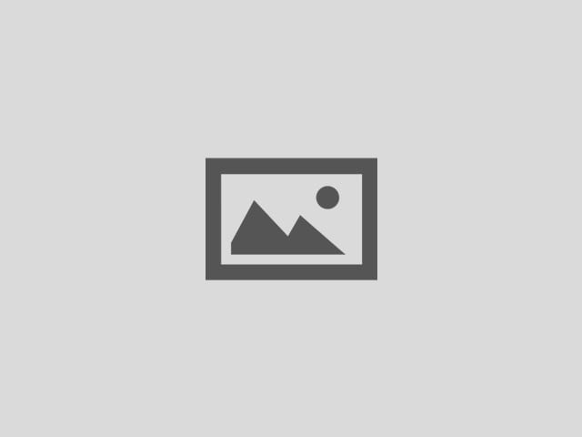 team-information